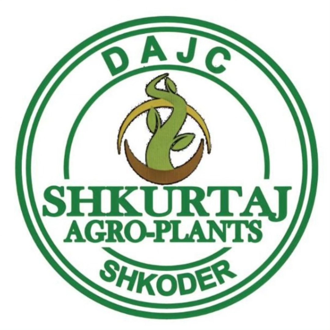 485904717_3117232965097817_5099659972587002728_n